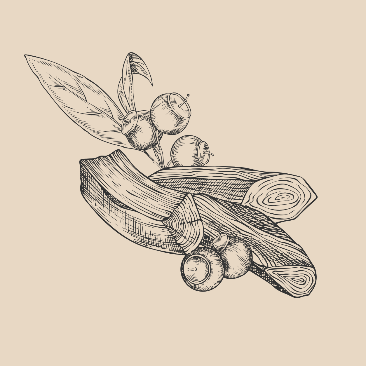 Oud Scented Body Butter